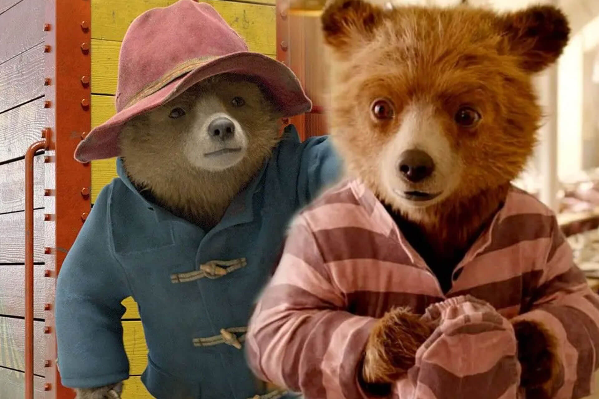 Paddington au Pérou